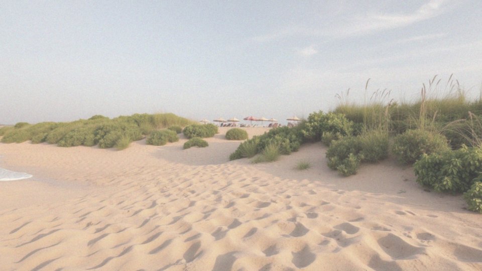 Jakie są plaże w Złotych Piaskach?