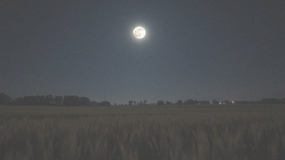 Jaką widoczność ma Księżyc dziś?