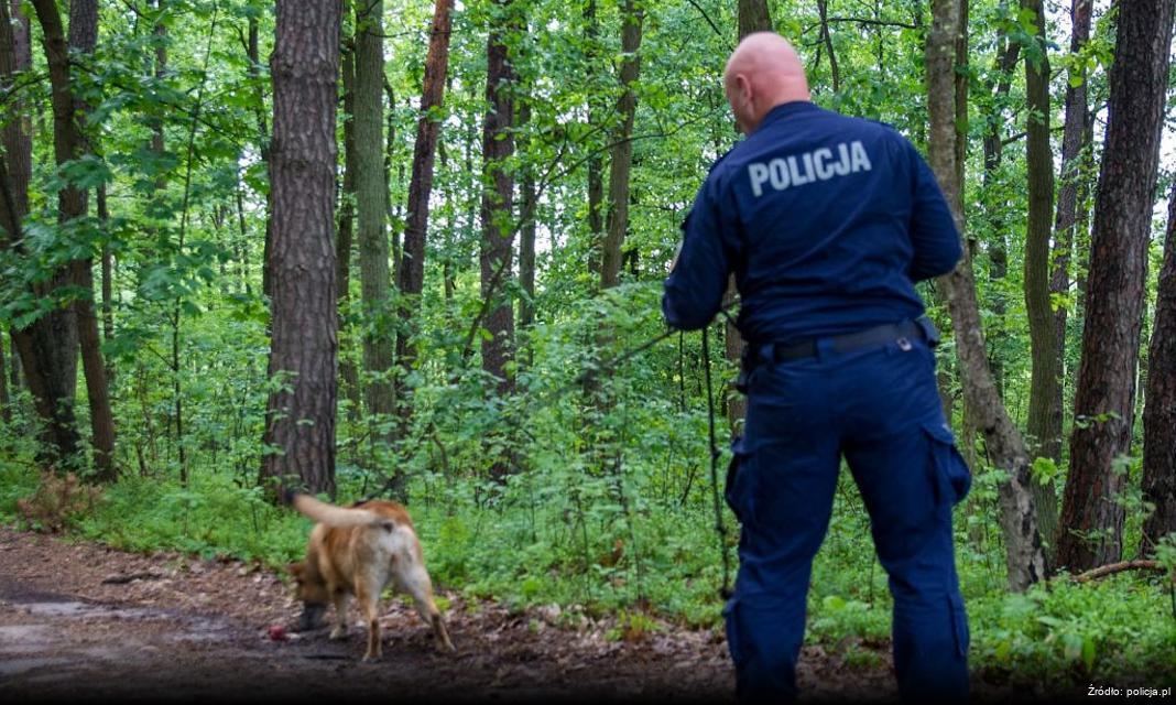 Warsztaty w Pszowie w ramach kampanii „Dobre dzieciństwo daje dziecku moc!”