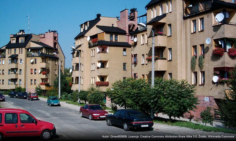 Nowe Miasto (Wodzisław Śląski)