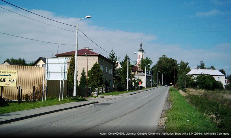 Ulica Ignacego Paderewskiego w Wodzisławiu Śląskim