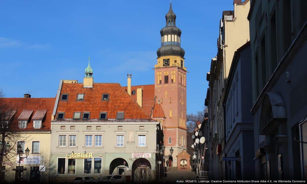 Realizacja zadań w zakresie ochrony zdrowia w Wodzisławiu Śląskim