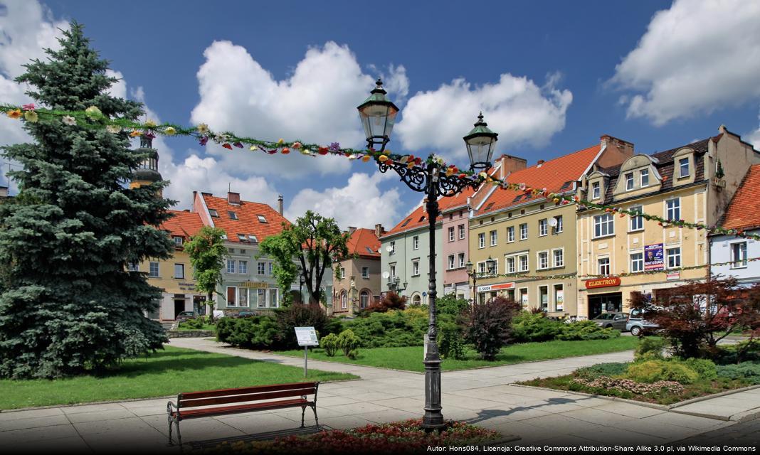 Sezon grzybobrania w Wodzisławiu Śląskim i okolicach